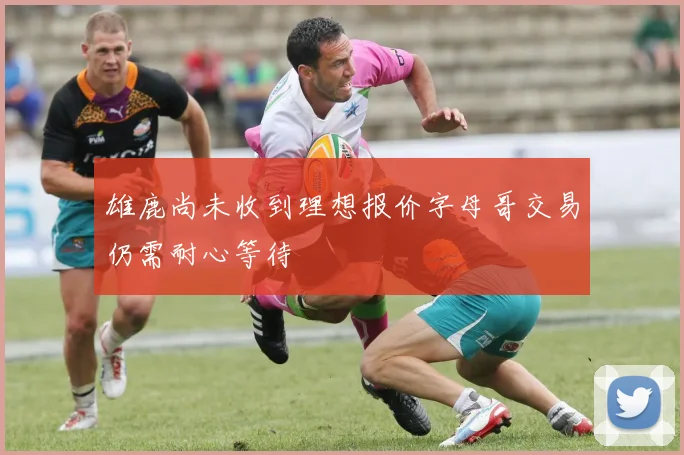 雄鹿尚未收到理想报价字母哥交易仍需耐心等待